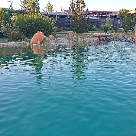 Hotel Albergue Bioclimatico Sabinares Del Arlanza Puentedura Kültér fotó