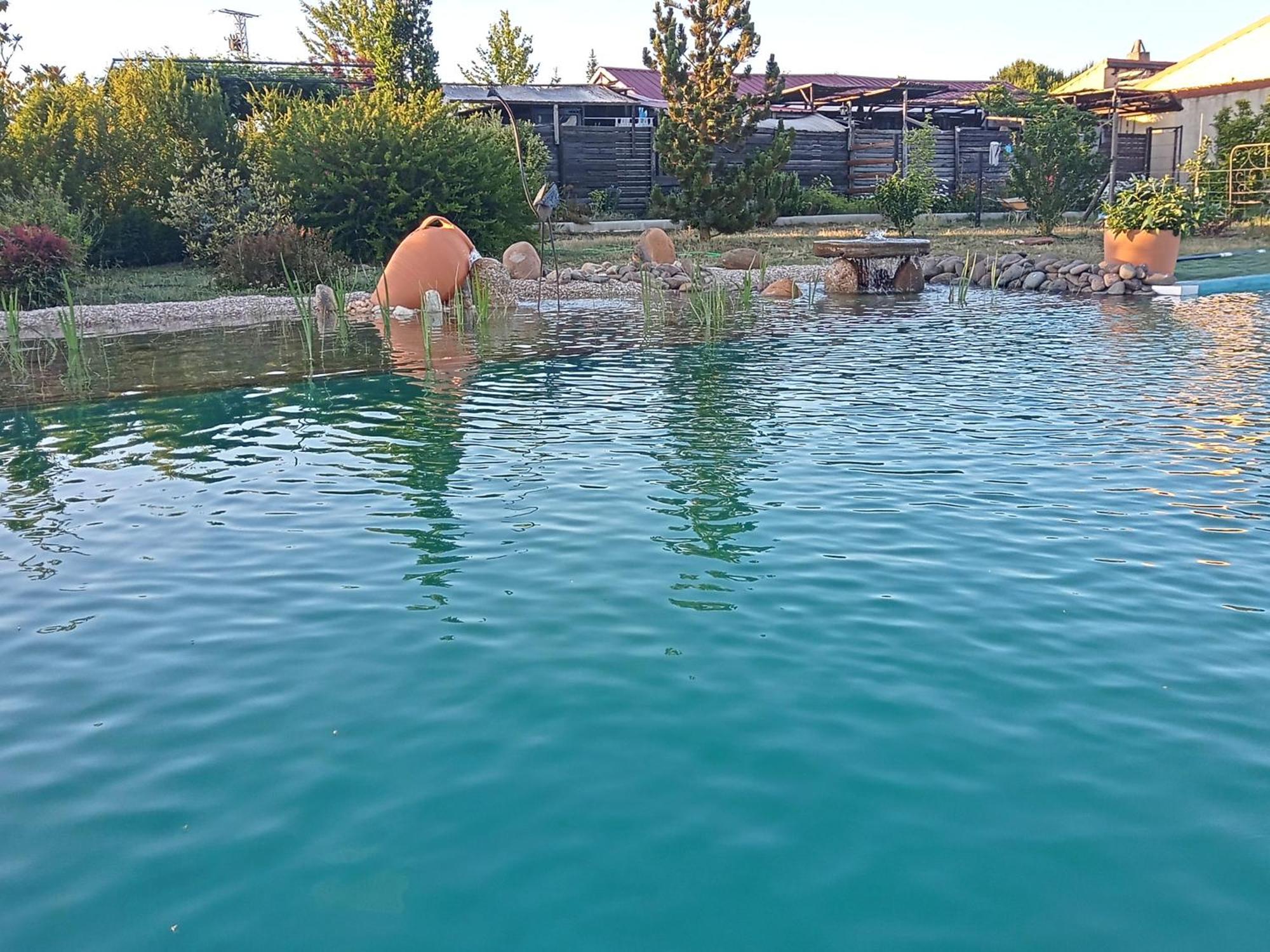 Hotel Albergue Bioclimatico Sabinares Del Arlanza Puentedura Kültér fotó