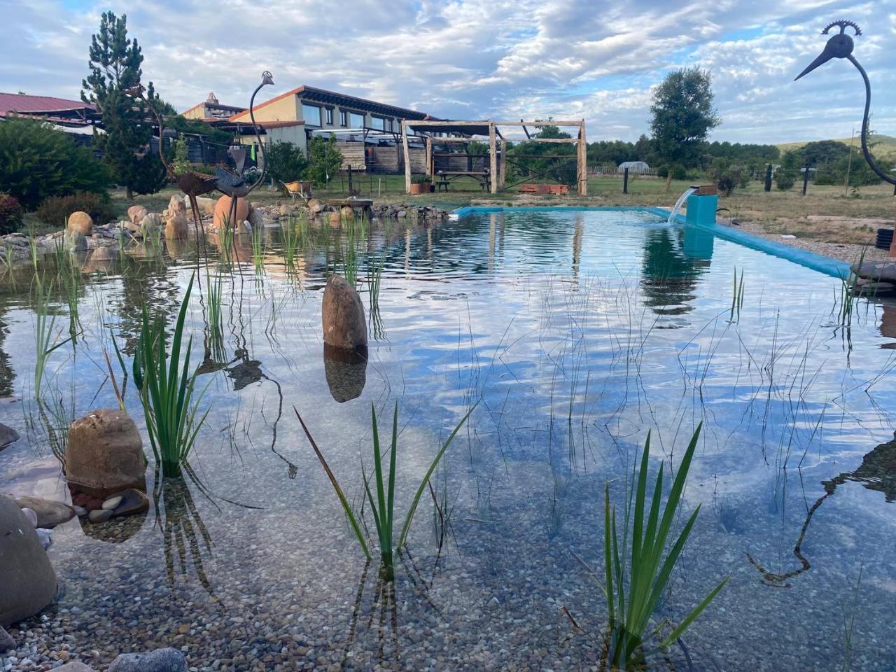 Hotel Albergue Bioclimatico Sabinares Del Arlanza Puentedura Kültér fotó