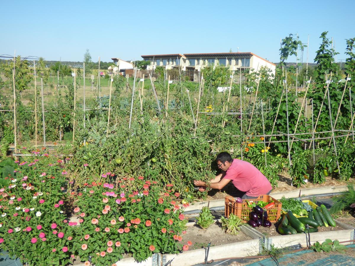 Hotel Albergue Bioclimatico Sabinares Del Arlanza Puentedura Kültér fotó
